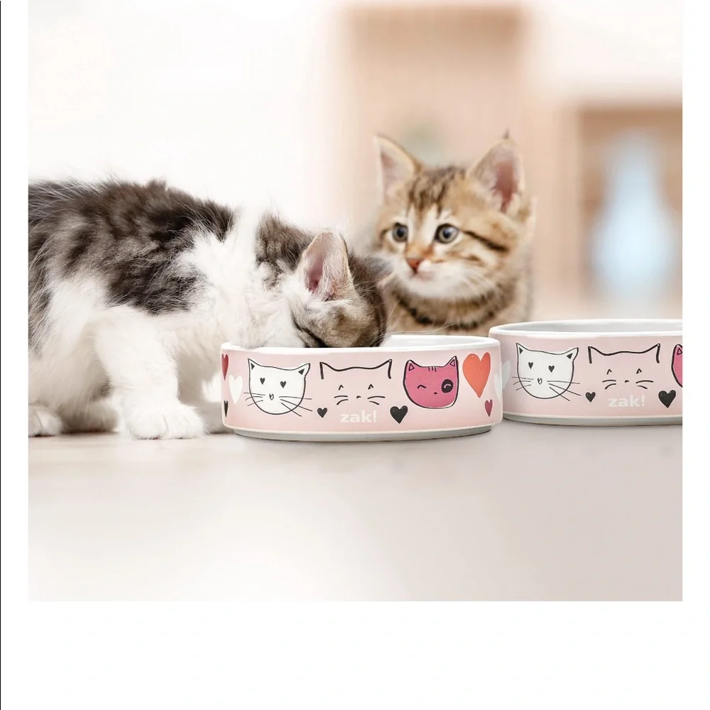 Matching mug and Pet bowl.